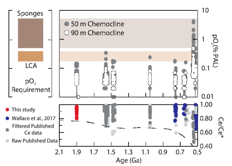 fig.2s.png