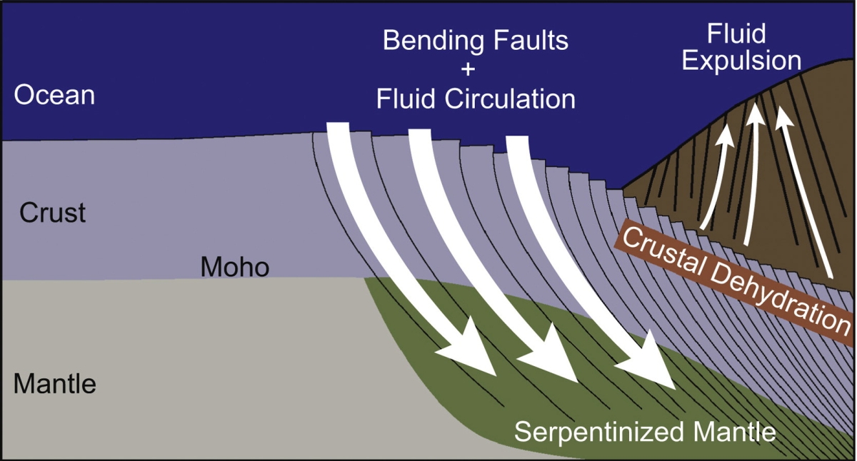 Fig.1s.jpg