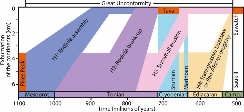 Fig.1s.jpg