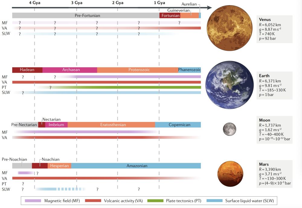 Fig.1s.jpg