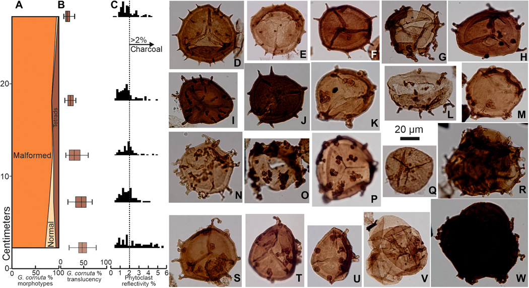 Fig.2.jpg