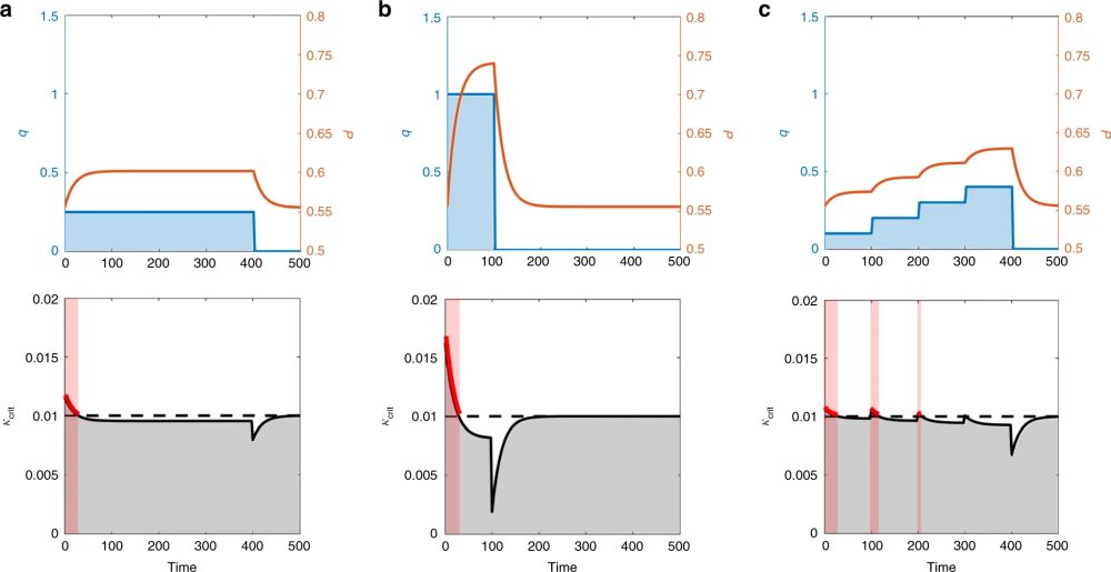 Fig.3s.jpg