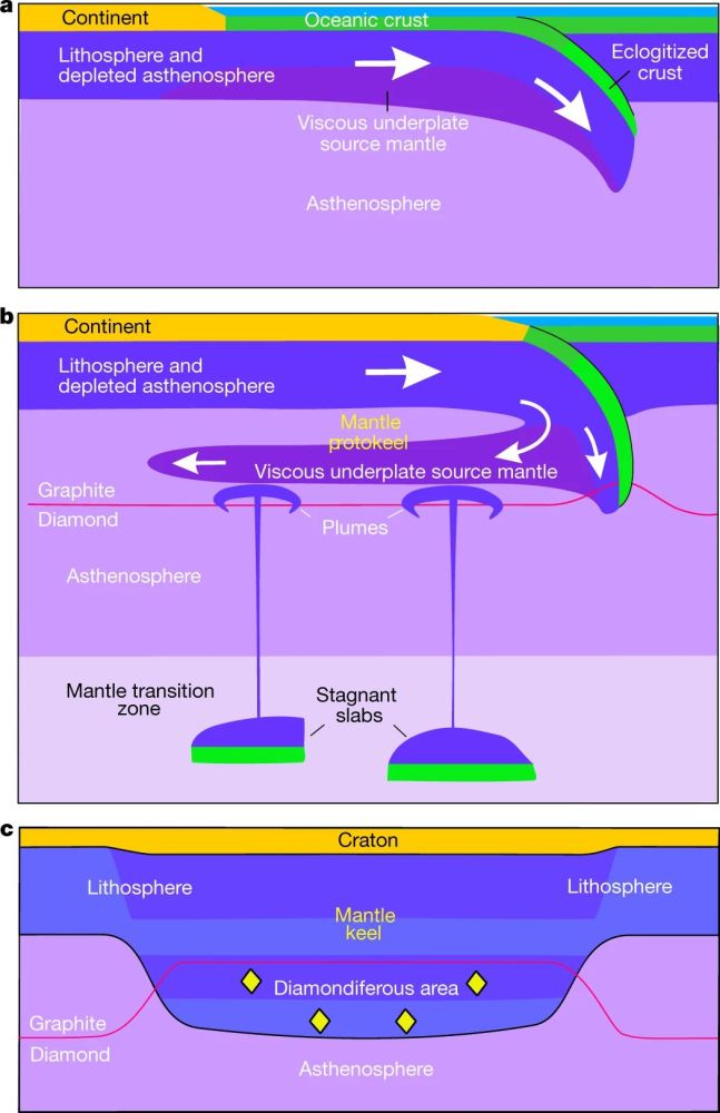 Fig.1s.jpg