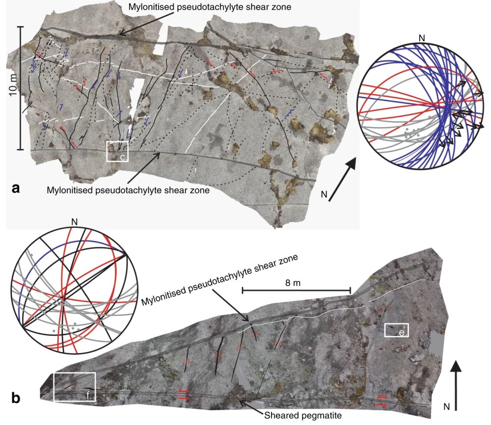 Fig.2s.jpg