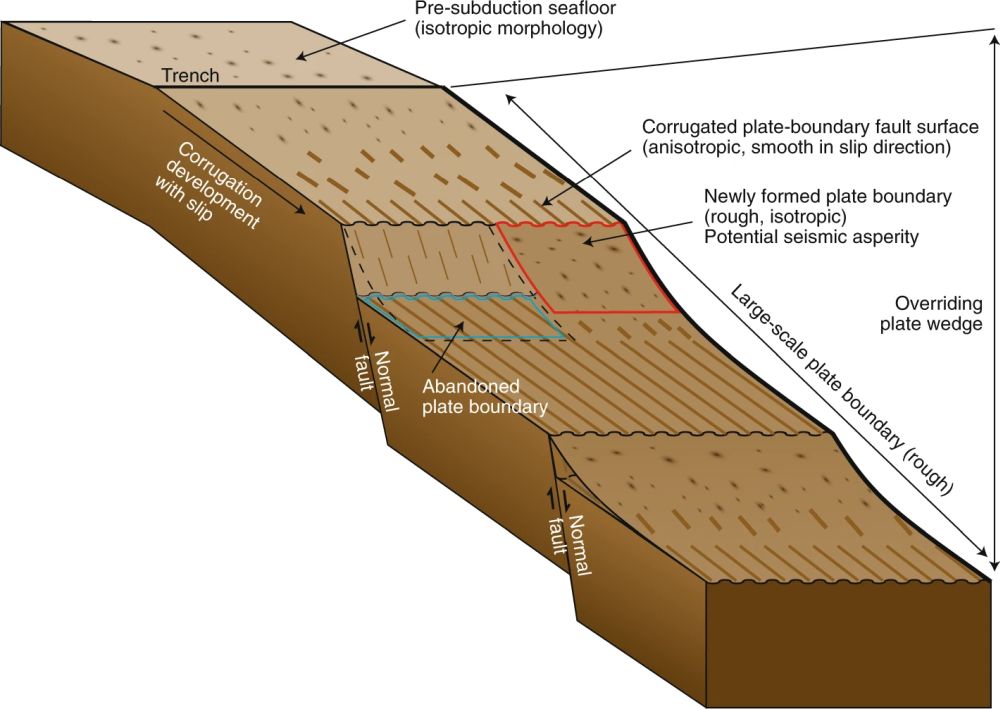 Fig.2s.jpg