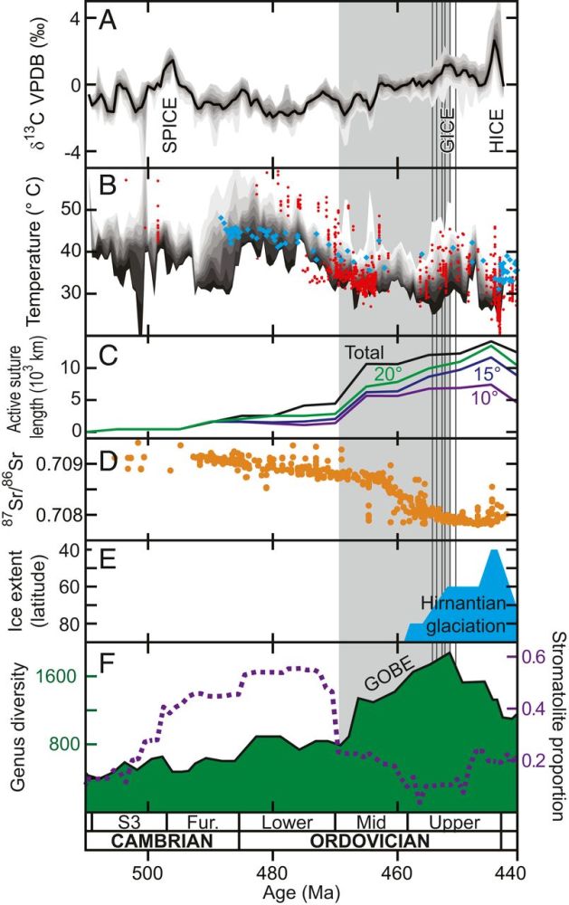 Fig.4s.jpg