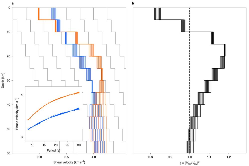 Fig.2s.jpg