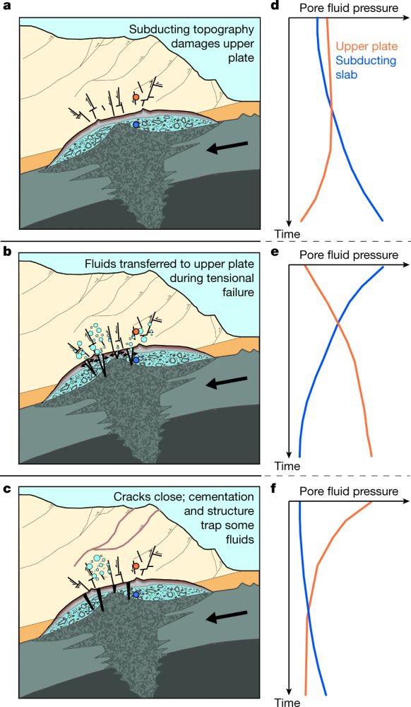 Fig.3s.jpg