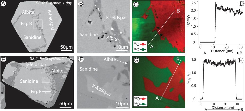 Fig.4s.jpg