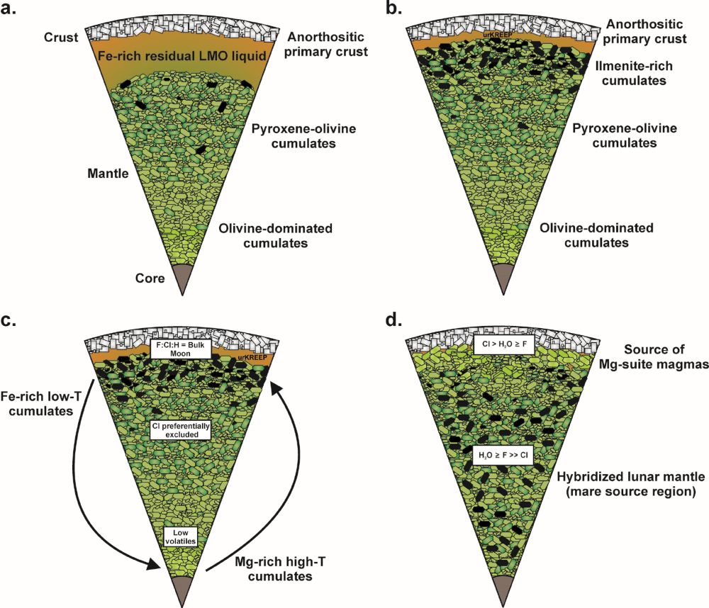 Fig.4s.jpg