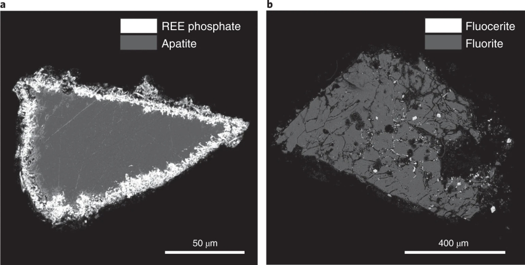 Fig.1.jpg