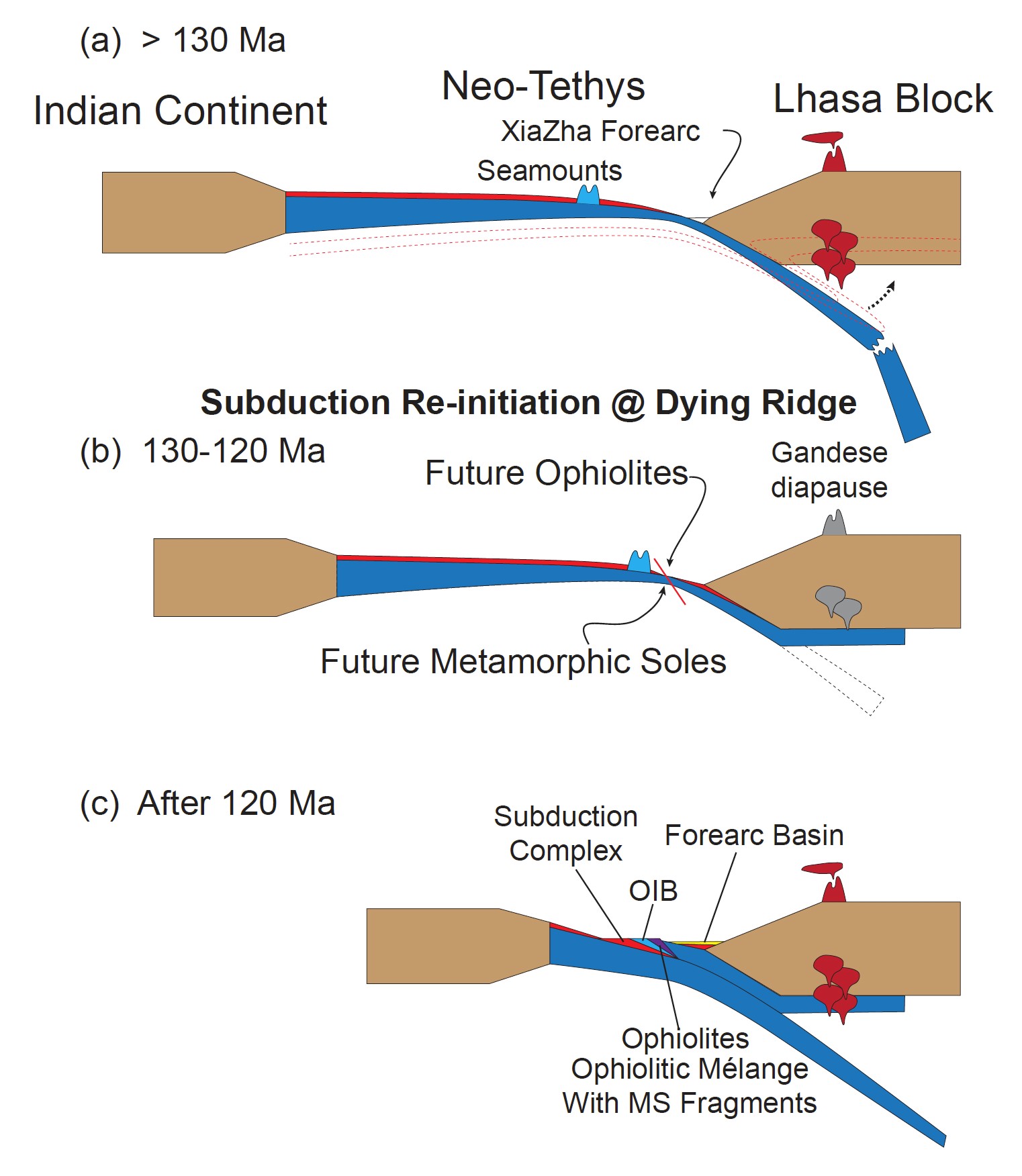 Fig.1.jpg