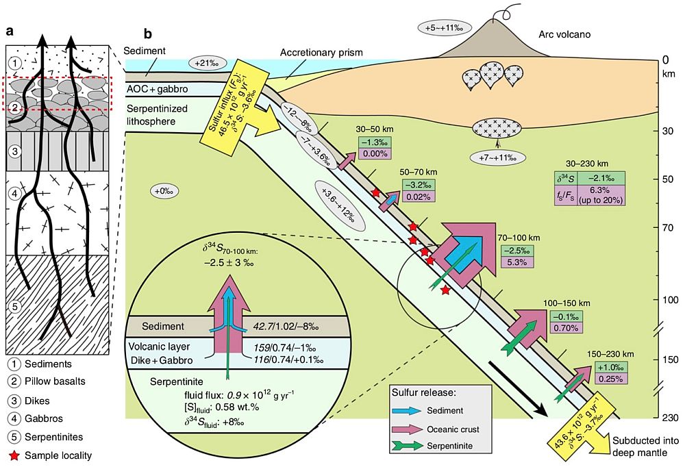 Fig.3s.jpg