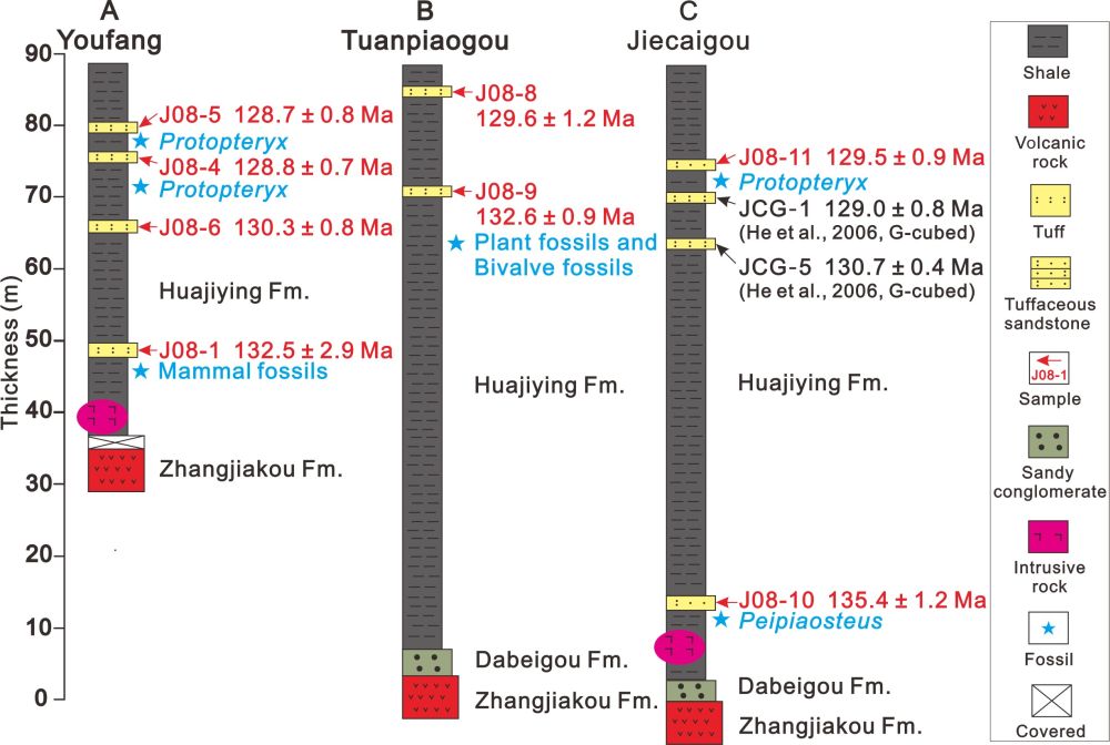 Fig.1s.jpg