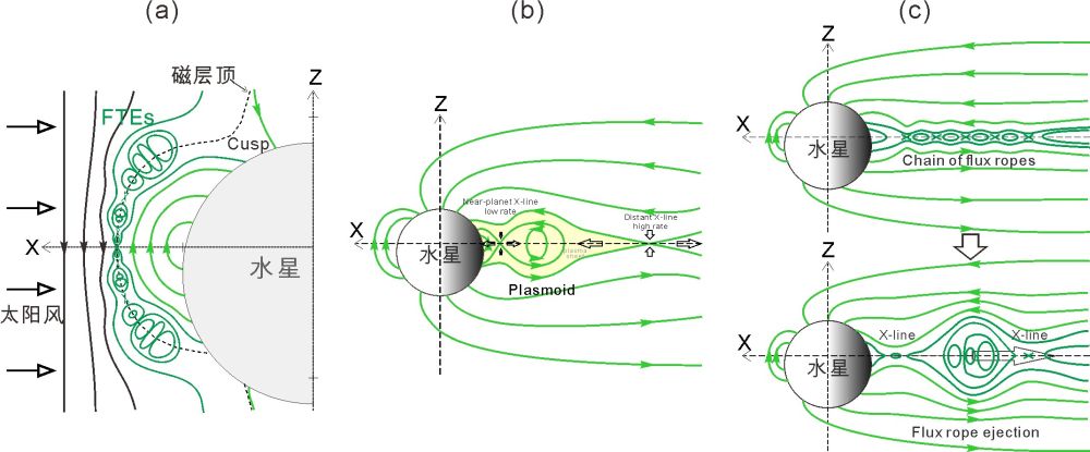 Fig.2s.jpg