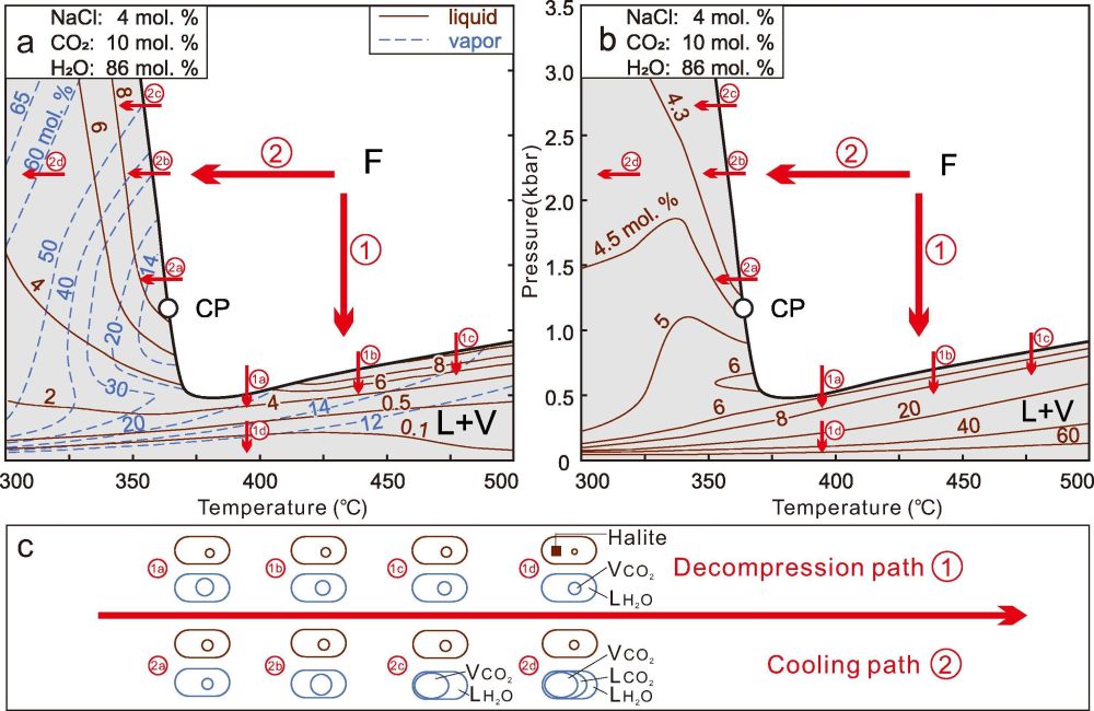 Fig.4s.jpg