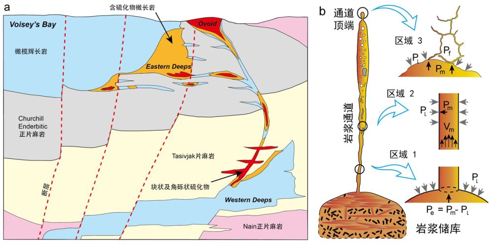 Fig.1s.jpg