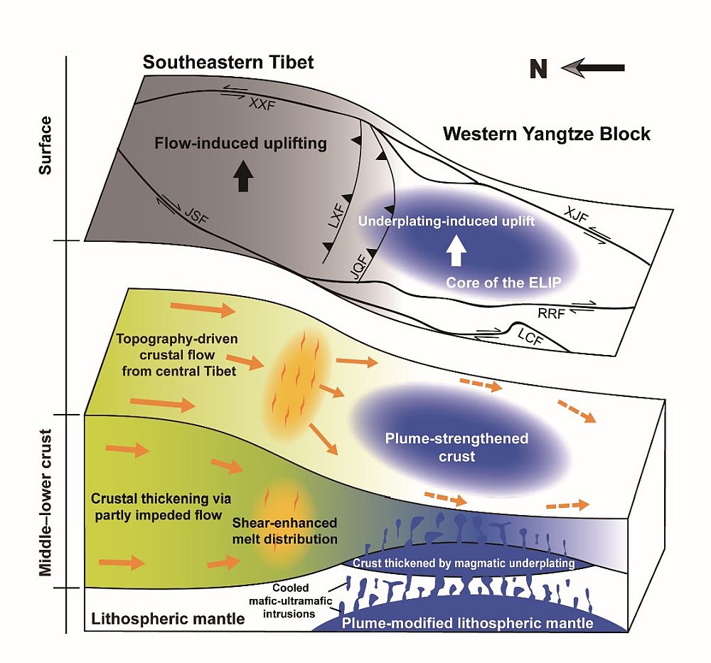 Fig.3s.jpg