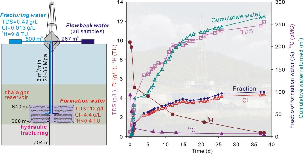 Fig.1s.jpg