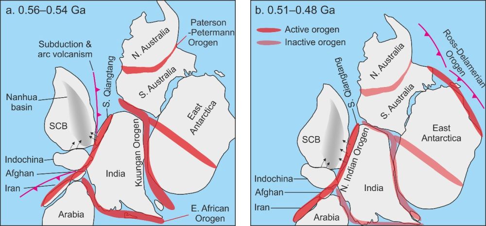 Fig.4s.jpg