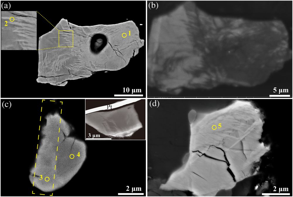 Fig.1s.jpg