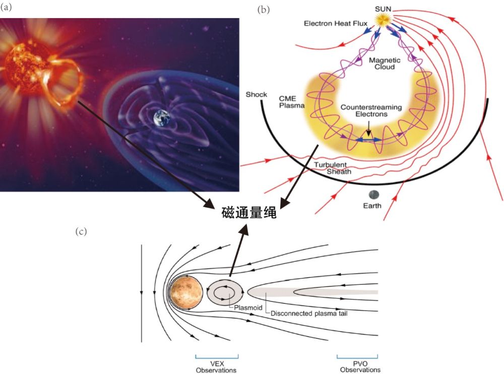 Fig.1s.jpg