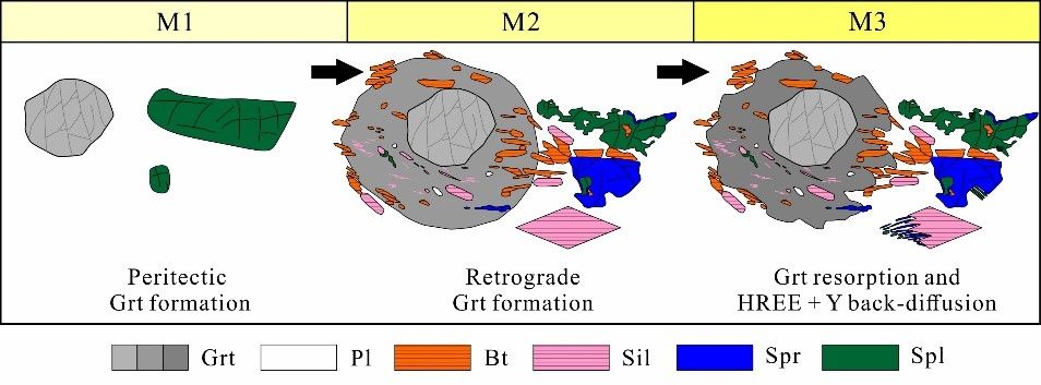 Fig.1s.jpg