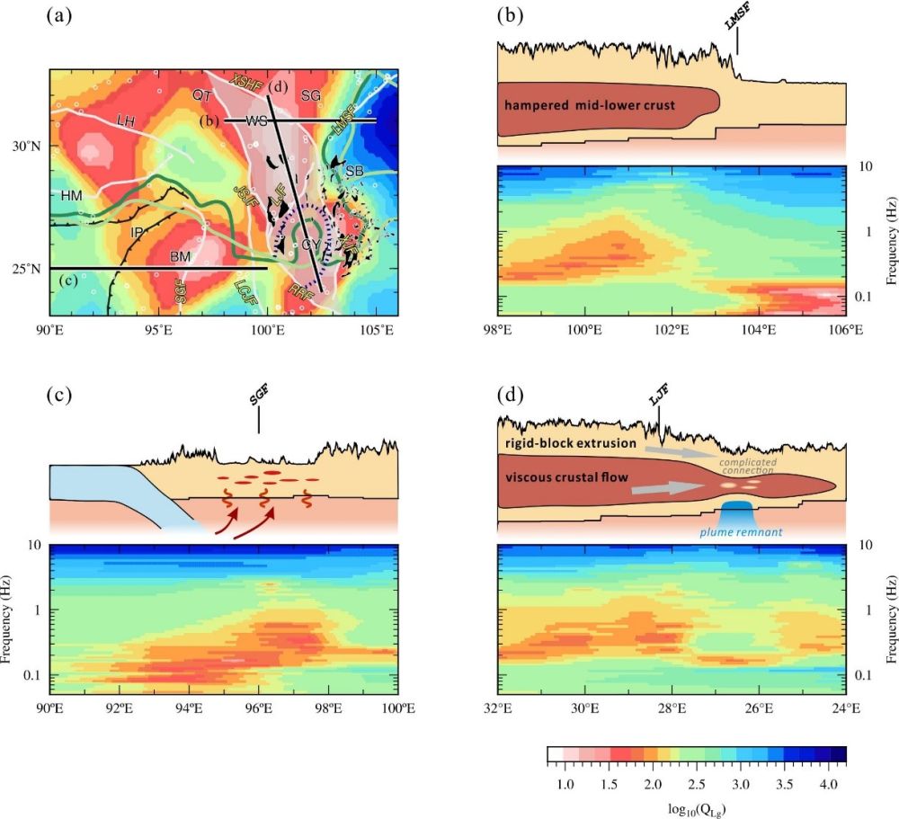 Fig.3s.jpg