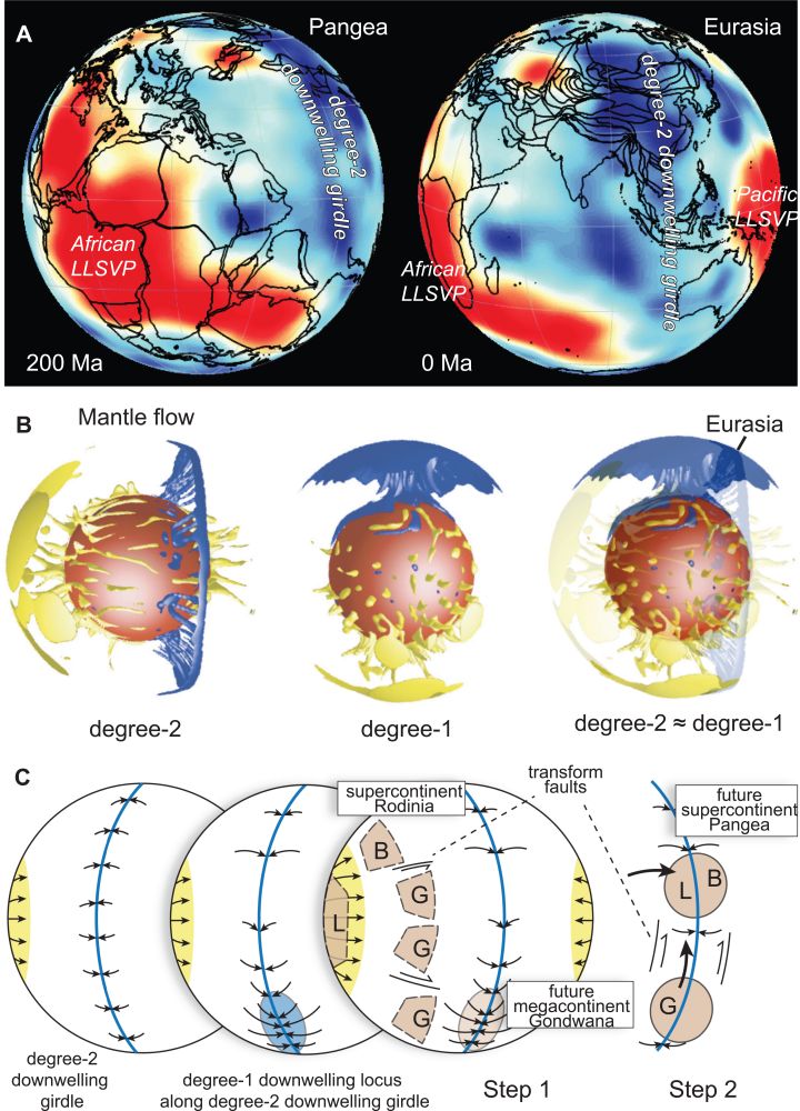 Fig.3s.jpg