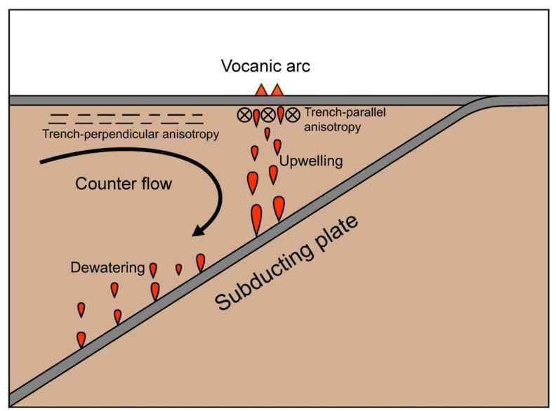 Fig.3s.jpg