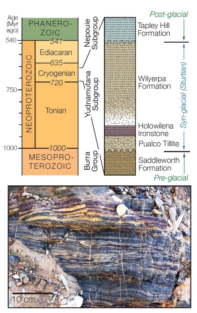 Fig.1s.jpg