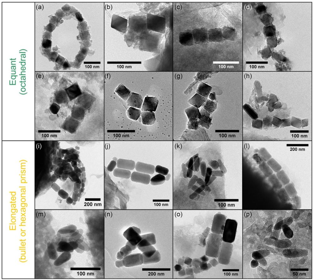 Fig.2s.jpg