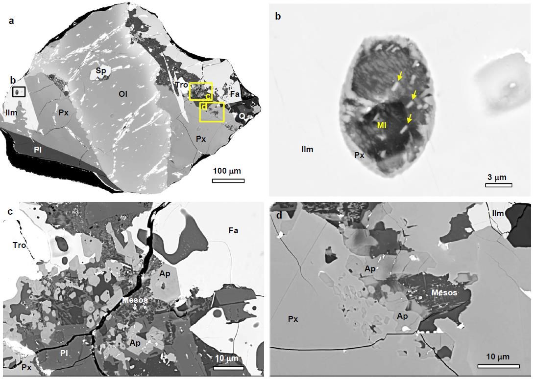 Fig.2s.jpg