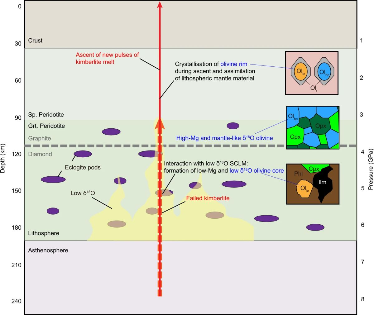 Fig.4s.jpg