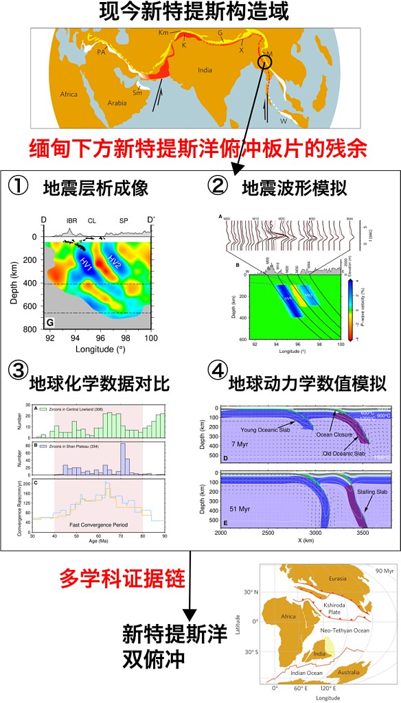 Fig.1s.jpg