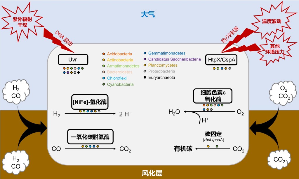 Fig.3.jpg