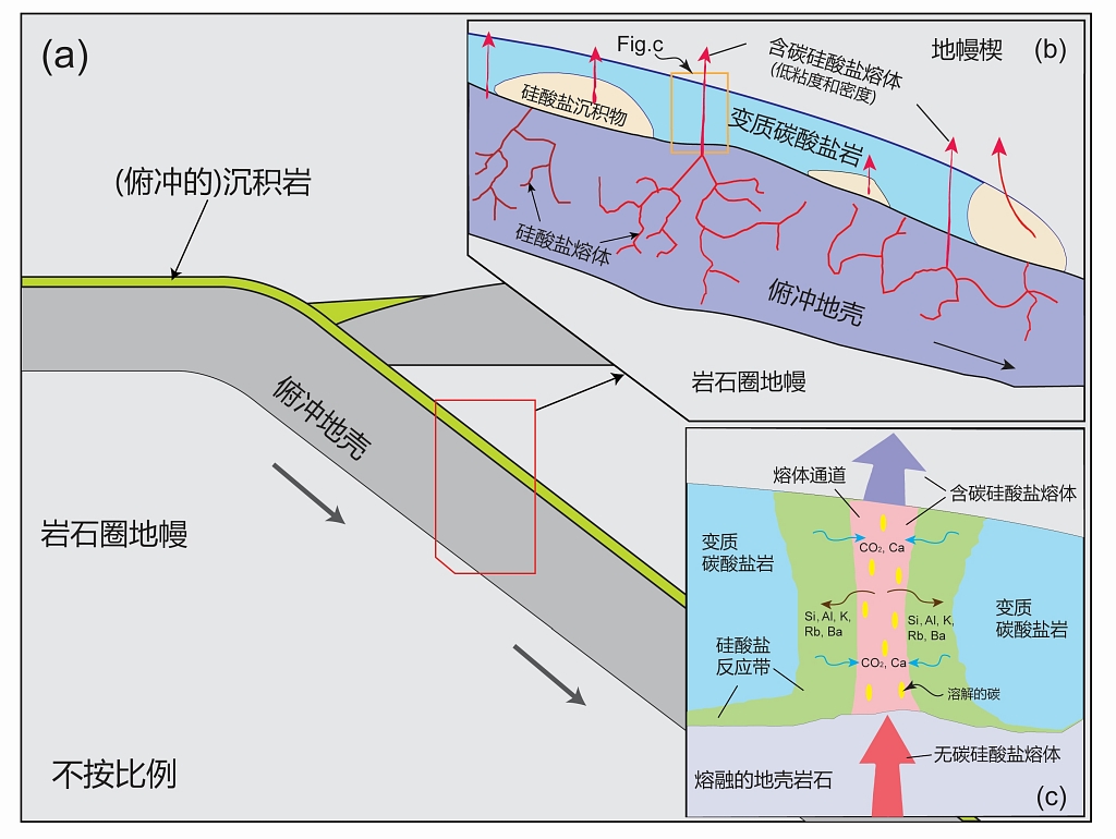 图4s.jpg