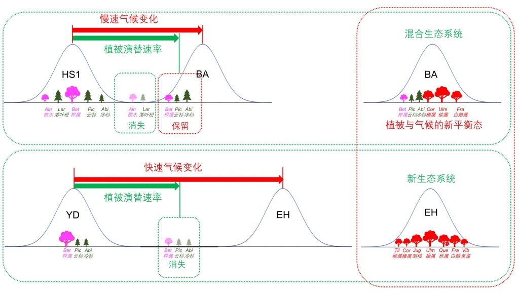 Fig3中文_01.jpg